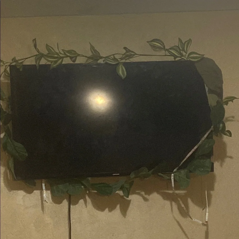Samsung Black TV